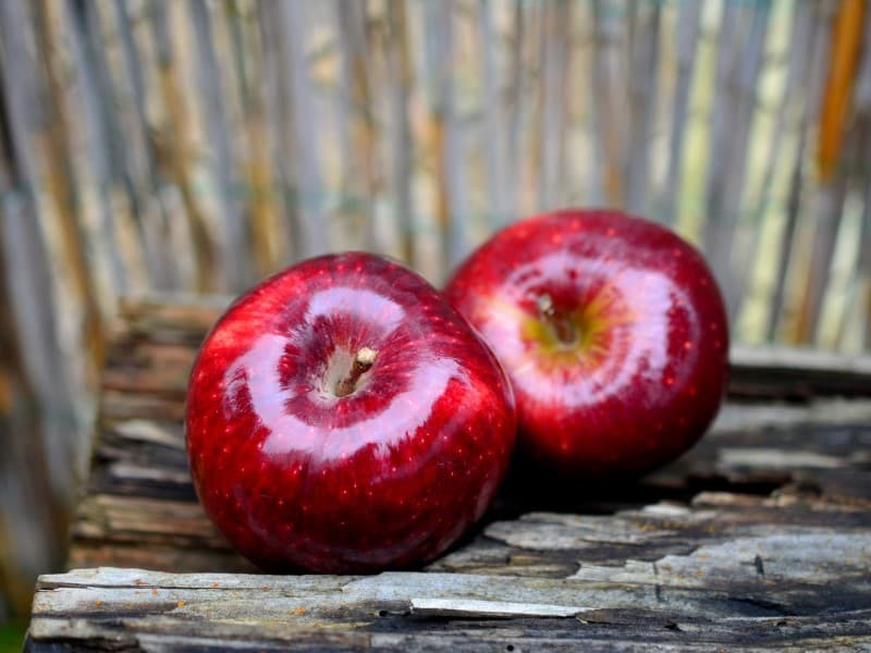 خرید سیب قرمز صادراتی ارومیه + قیمت فروش استثنایی